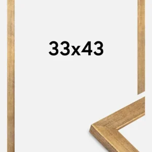 Commande En Gros Fotolijst Jämtland Goud 33x43 cm