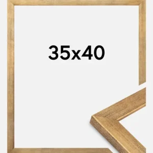 Achat Immédiat Fotolijst Jämtland Goud 35x40 cm