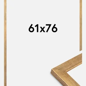 Vente Directe Fotolijst Jämtland Goud 61x76 cm