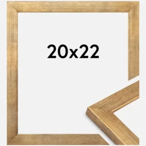 Prix Promo Fotolijst Jämtland Goud 20x22 cm