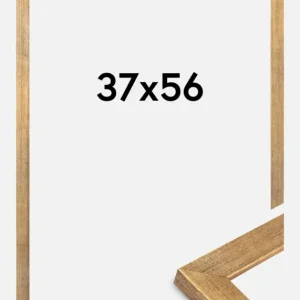 Seulement Aujourd’hui Fotolijst Jämtland Goud 37x56 cm