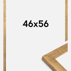 Expédition Rapide Fotolijst Jämtland Goud 46x56 cm