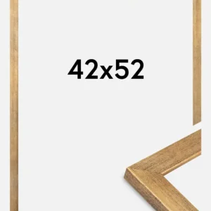 Dernier Modèle Fotolijst Jämtland Goud 42x52 cm
