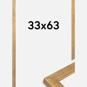 Promotion Fotolijst Jämtland Goud 33x63 cm