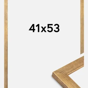 Certifié Fotolijst Jämtland Goud 41x53 cm