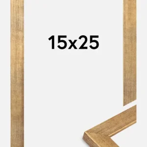 Réduction Fotolijst Jämtland Goud 15x25 cm