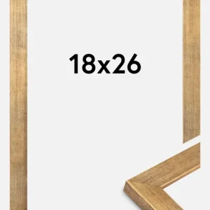 Satisfait Ou Remboursé Fotolijst Jämtland Goud 18x26 cm