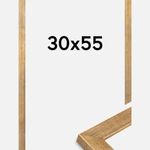 Vente Directe Fotolijst Jämtland Goud 30x55 cm