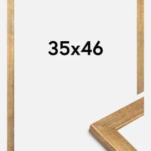 Achat Immédiat Fotolijst Jämtland Goud 35x46 cm