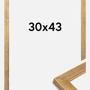 Achetez Aujourd’hui Fotolijst Jämtland Goud 30x43 cm