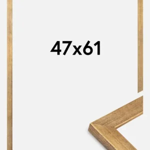 Satisfait Ou Remboursé Fotolijst Jämtland Goud 47x61 cm