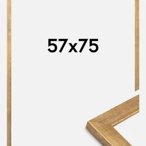 Dernière Chance Fotolijst Jämtland Goud 57x75 cm