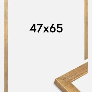 Solde Fotolijst Jämtland Goud 47x65 cm