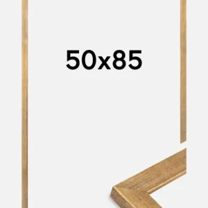 Dernière Chance Fotolijst Jämtland Goud 50x85 cm