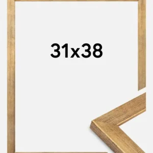 Prix Réduit Fotolijst Jämtland Goud 31x38 cm