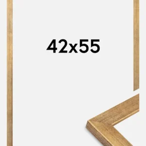 Promotion Fotolijst Jämtland Goud 42x55 cm