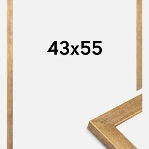 Promotion Saisonnière Fotolijst Jämtland Goud 43x55 cm