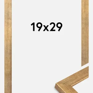 Usine Directe Fotolijst Jämtland Goud 19x29 cm