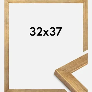 Remise Fotolijst Jämtland Goud 32x37 cm