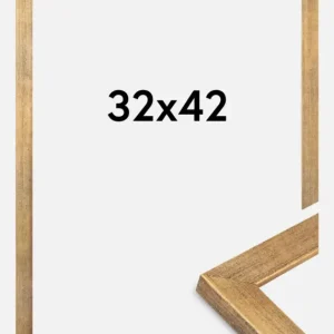 Prix Réduit Fotolijst Jämtland Goud 32x42 cm