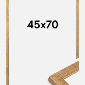 Super Prix Fotolijst Jämtland Goud 45x70 cm