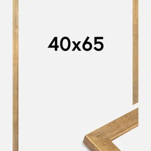 Fotolijst Jämtland Goud 40x65 cm Acheter Direct