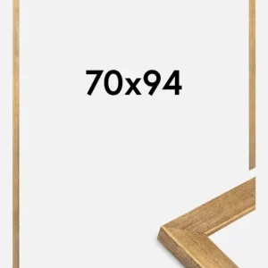 Dernier Modèle Fotolijst Jämtland Goud 70x94 cm