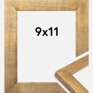 Remise Fotolijst Jämtland Goud 9x11 cm