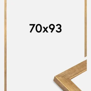 Commande En Gros Fotolijst Jämtland Goud 70x93 cm