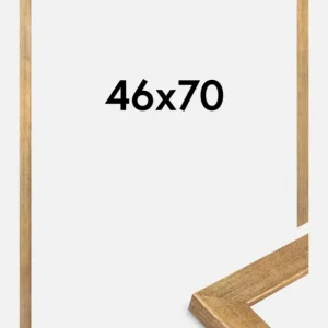 Prix Réduit Fotolijst Jämtland Goud 46x70 cm
