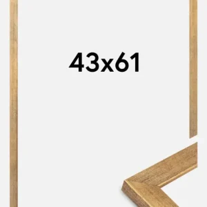 Satisfait Ou Remboursé Fotolijst Jämtland Goud 43x61 cm