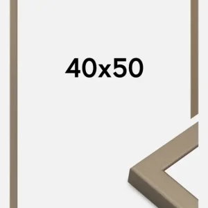 Remise Fotolijst Lofsdalen Goud 40x50 cm