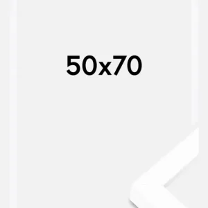 Super Prix BGA Framebox Wit 50x70 cm