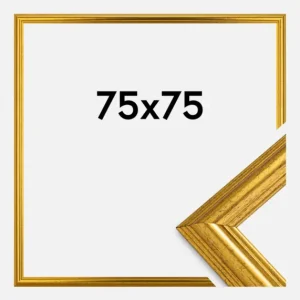 Usine Directe Fotolijst Västkusten Goud 75x75 cm
