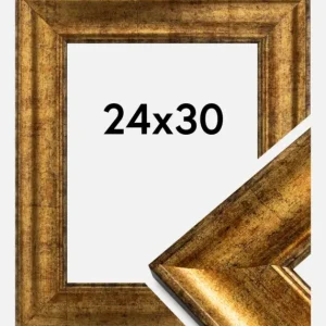 Vente Directe Fotolijst Saltsjöbaden Goud 24x30 cm