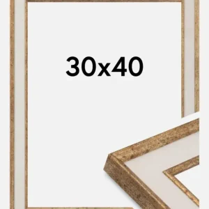 Expédition Rapide Fotolijst Dolly Goud 30x40 cm