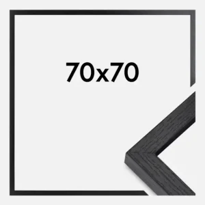 BGA Framebox Zwart 70x70 cm Vente Directe