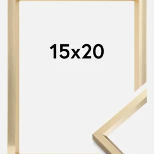 Offre Spéciale Fotolijst Steel Style Glas Goud 15x20 cm