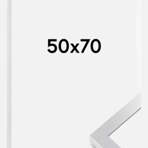 Bon Plan Fotolijst Selection Zilver 50x70 cm