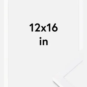 Acheter En Ligne Fotolijst Selection Wit 12x16 Inches (30,48x40,64 cm)