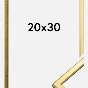 Nouvelle Collection Fotolijst Slim Mat Ontspiegeld Glas Goud 20x30 cm
