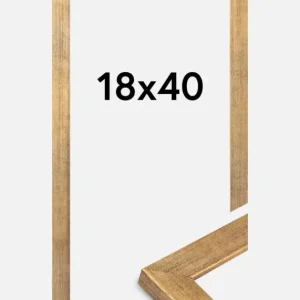 Commander Maintenant Fotolijst Jämtland Goud 18x40 cm