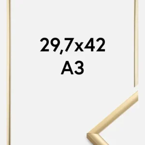 Usine Directe Fotolijst New Lifestyle Glas Goud 29,7x42 cm (A3)