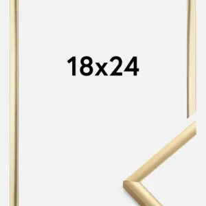 Livraison Express Fotolijst New Lifestyle Glas Goud 18x24 cm