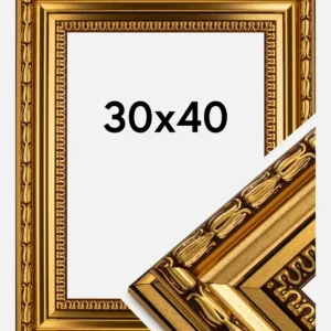 Bon Marché Fotolijst Birka Premium Glas Goud 30x40 cm