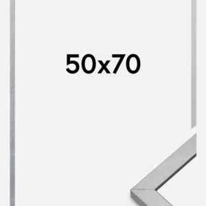 Prix Bas Fotolijst Minerva Zilver 50x70 cm