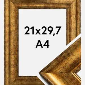 Achetez Aujourd’hui Fotolijst Saltsjöbaden Glas Goud 21x29,7 cm (A4)