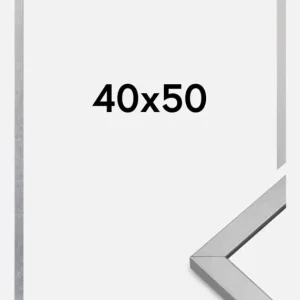 Fotolijst Minerva Zilver 40x50 cm Achat Immédiat