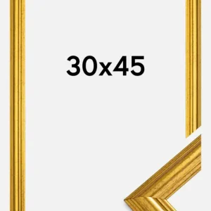 Soldes Fotolijst Västkusten Glas Goud 30x45 cm