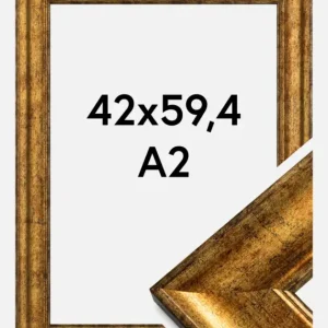 Affaire À Saisir Fotolijst Saltsjöbaden Glas Goud 42x59,4 cm (A2)